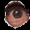 auge2.gif (6853 Byte)