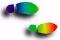 n�chste Homepage